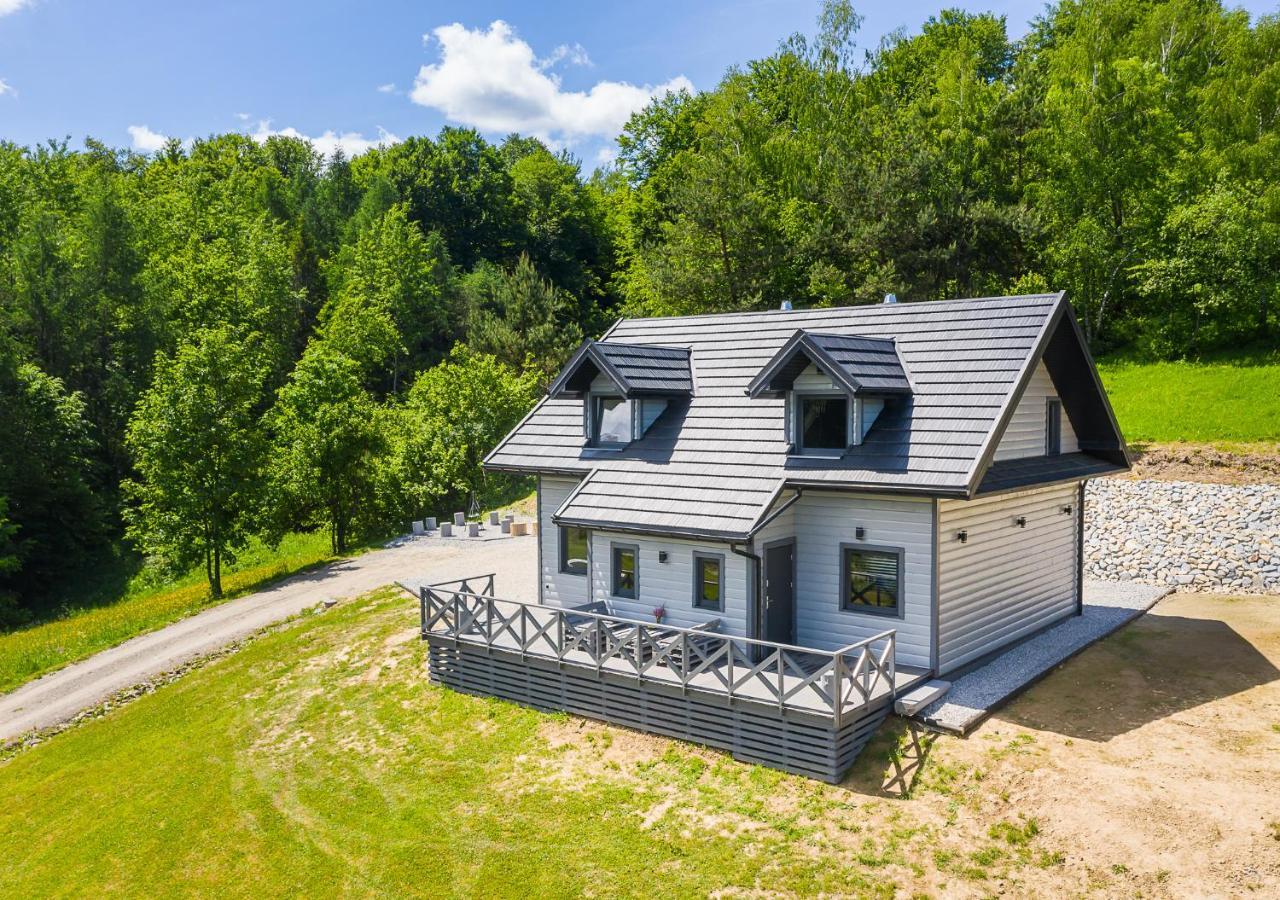 Antkowe Wzgorze Apartment Polanczyk