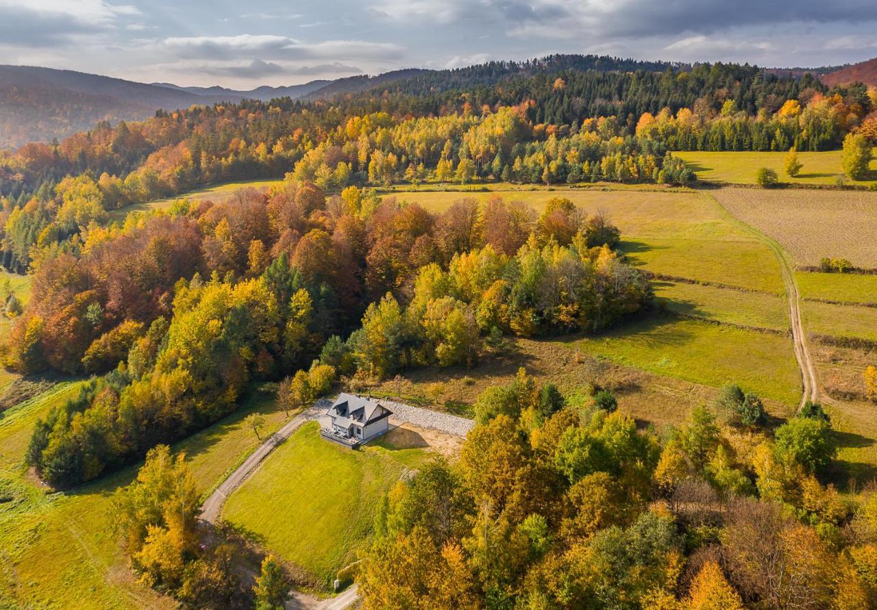 Antkowe Wzgorze *
