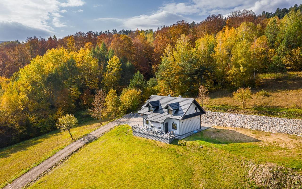 Apartment Antkowe Wzgorze