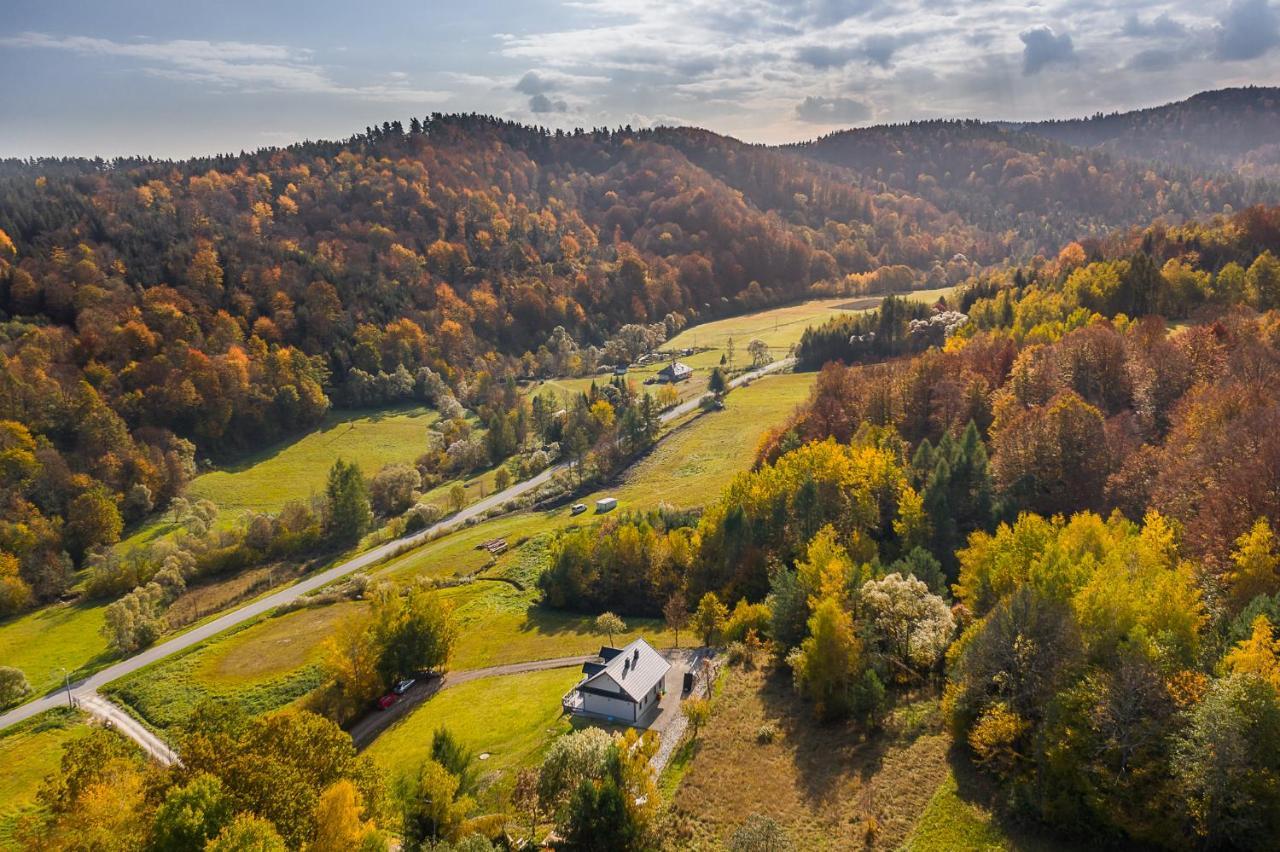 Antkowe Wzgorze