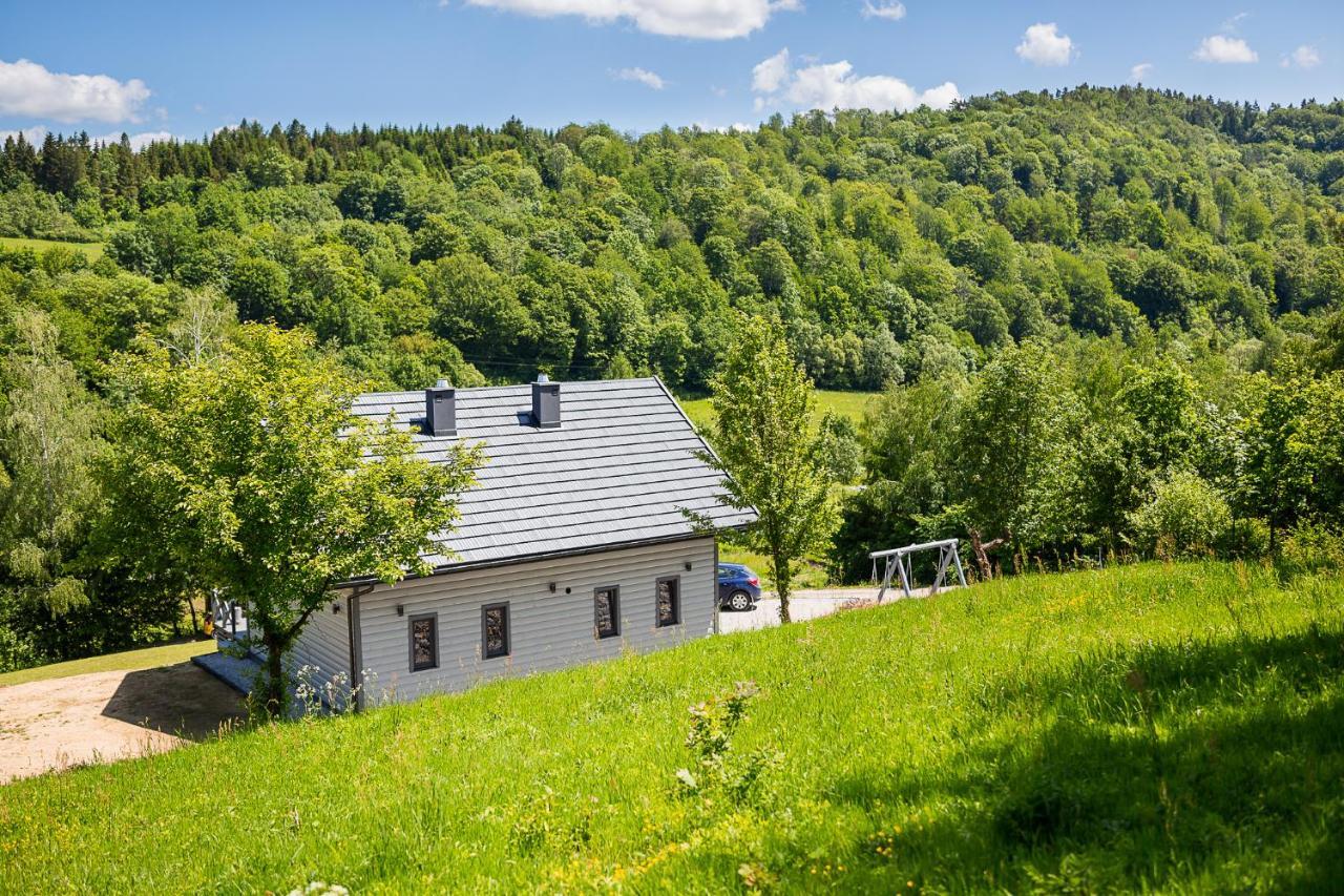 Antkowe Wzgorze Apartment Polanczyk