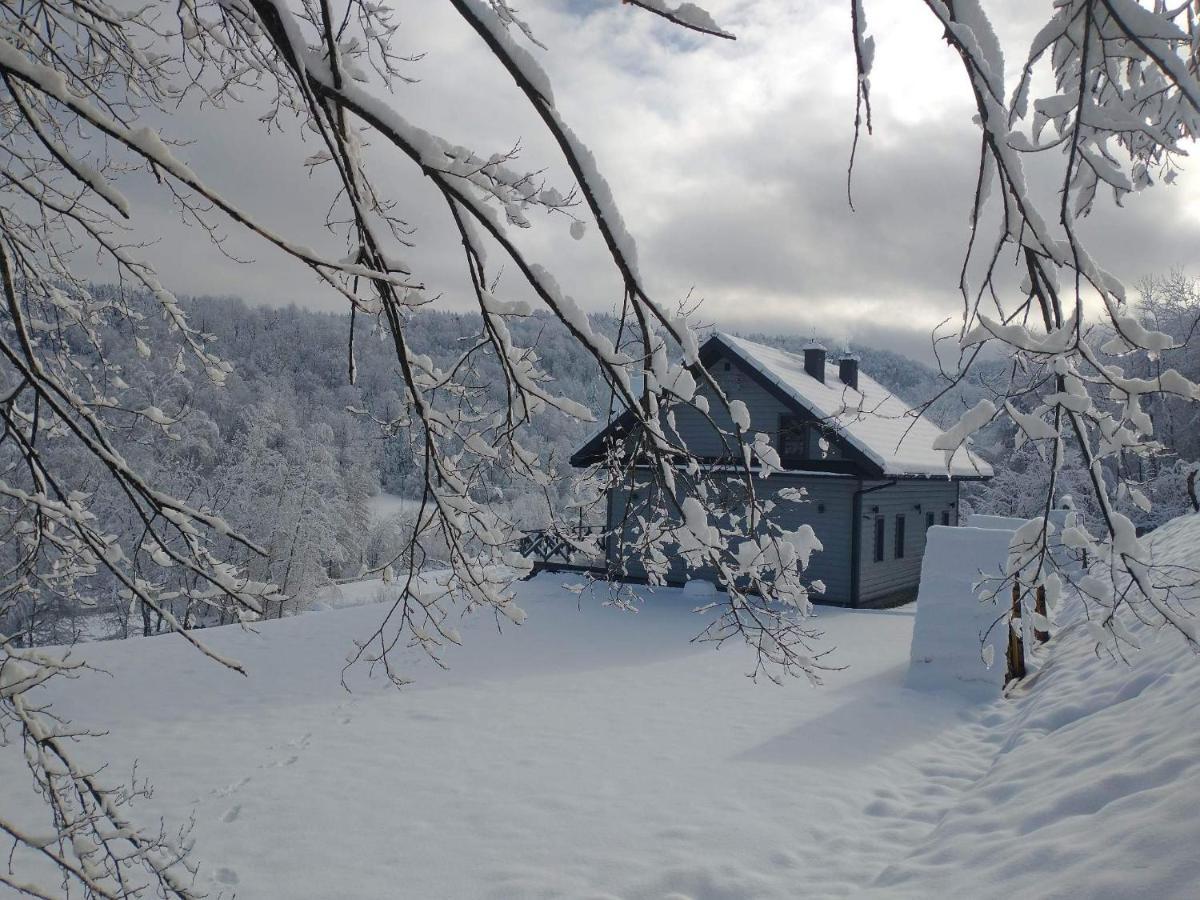 Antkowe Wzgorze Apartment Polanczyk