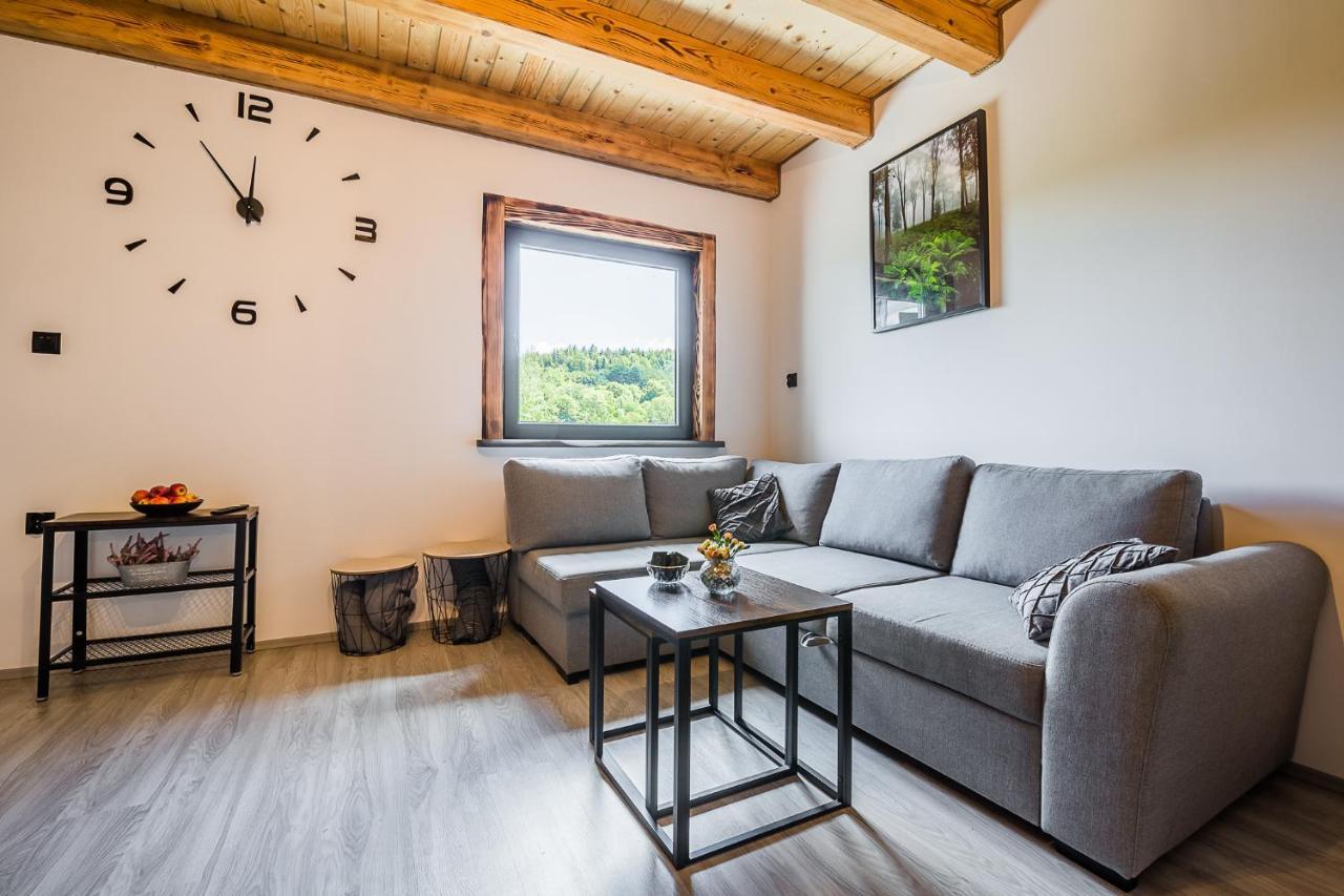 Antkowe Wzgorze Apartment *